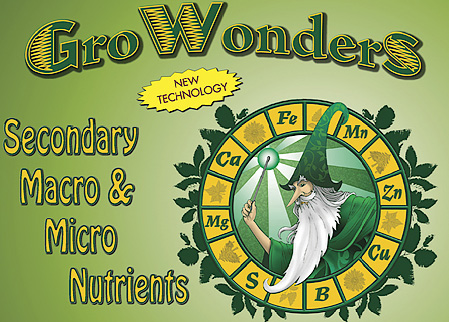 logo gw keyneseconomics